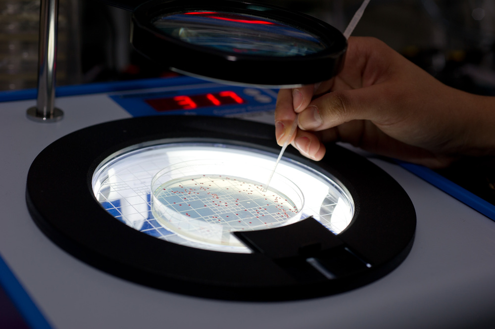 High Throughput DNA Sequencing Core