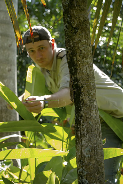 James Stroud lassoing lizards in the wild.