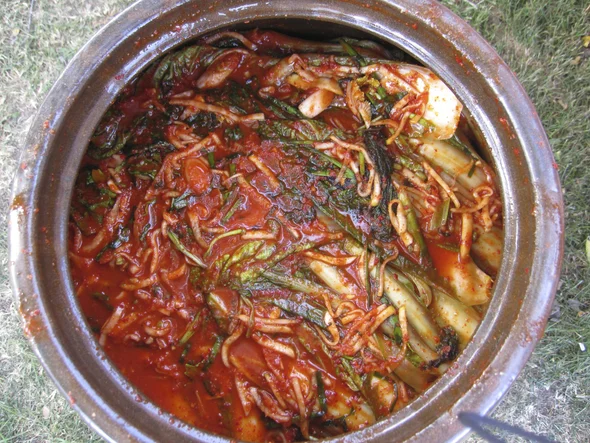 kimchi