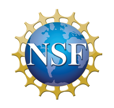 NSF Logo