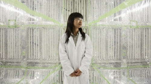 Sally Ng in lab