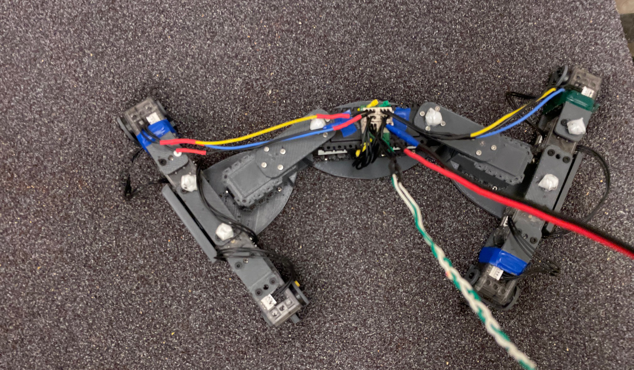 The researchers’ robophysical model of intermediate lizard species. Credit: Georgia Institute of Technology