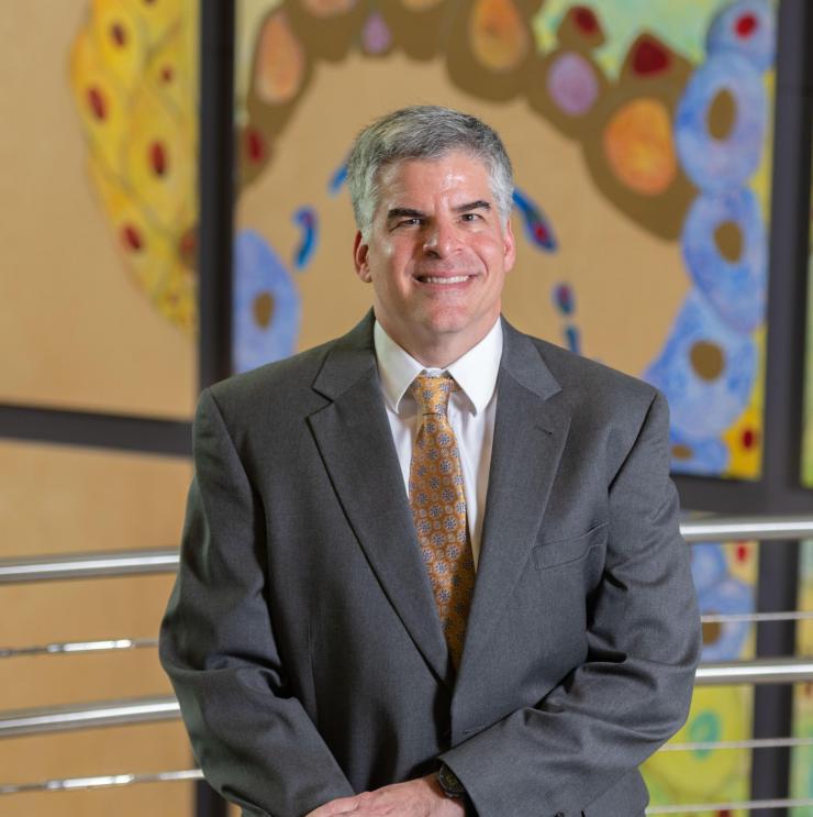 <h4>Executive Director, Parker H. Petit Institute for Bioengineering and Bioscience, The Petit Director's Chair in Bioengineering and Bioscience, Regents' Professor, George Woodruff School of Mechanical Engineering</h4>