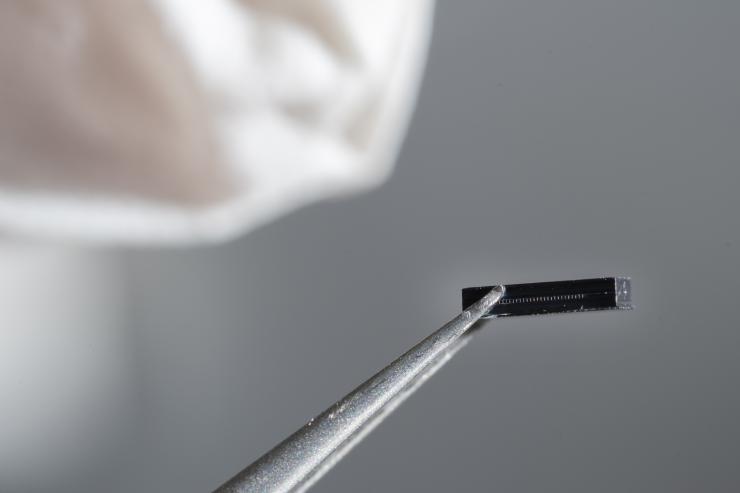 <p>Collimator at the end of a pair of tweezers. The tiny holes lined up in a row are the entries to the channels of the collimator that the atoms shoot through. Credit: Georgia Tech / Christopher Moore</p>