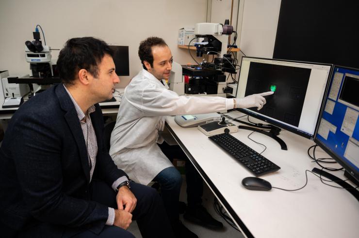 <p>A circulating tumor cell cluster isolated from a prostate cancer patient blood sample is being imaged with a fluorescence microscope. Tumor cells are labeled with a green fluorescent label for identification.</p>