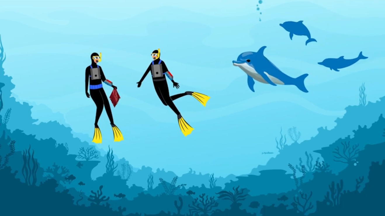 An animated image from Georgia Tech's video illustrating interactive technologies developed for the Wild Dolphin Project.