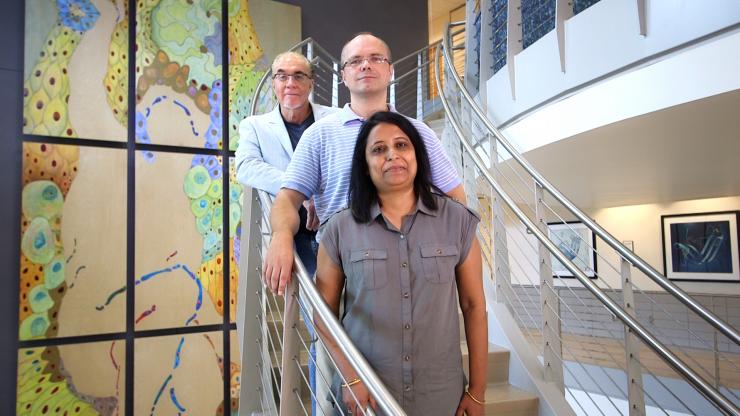 <p>Ovarian cancer researchers (back to front) John McDonald, Roman Mezencev and Minati Satpathy at Georgia Tech's Petit Institute for Bioengineering and Bioscience. Credit: Georgia Tech / Micah Eavenson </p>