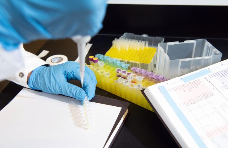 <p>At top, an unused test, which starts as a dry powder that can be transported at any temperature without special conditions and carried in an aid worker's pocket. At bottom, a test shows zinc levels by changing colors. It can be read directly in the field. This demo for the image was not performed with blood. Credit: Georgia Tech / Allison Carter</p>