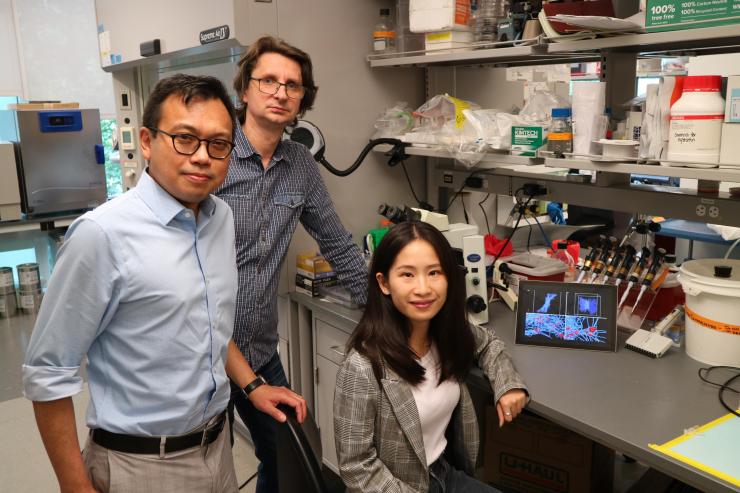 (L to R) Researchers Wilbur Lam, Alexander Alexeev and Yueyi Sun hope their findings open medical options for people with clotting issues. (Photo Credit:  Reginald Tran, Georgia Tech) 