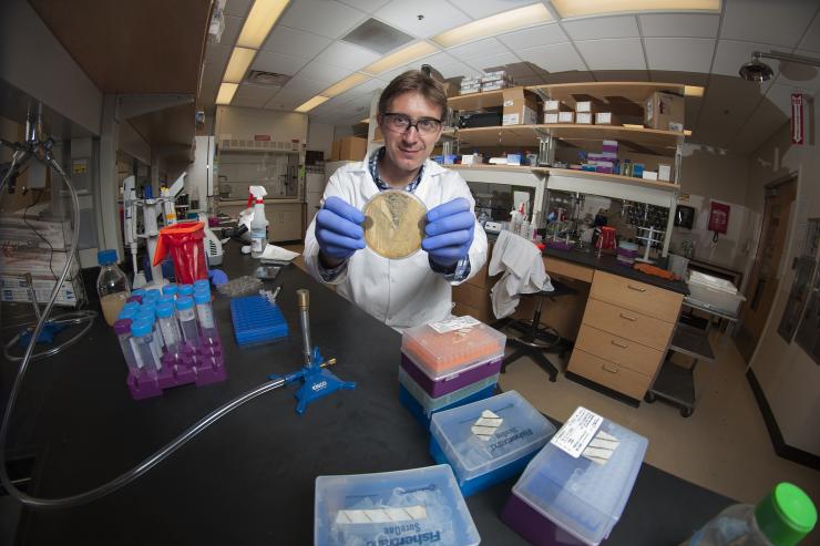 <p>Principal investigator Sam Brown holds a petri dish of common infectious bacteria in his lab at Georgia Tech. Credit: Georgia Tech / Christopher Moore</p>