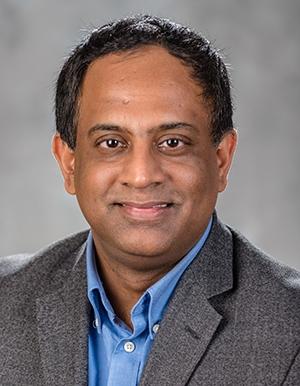 <p>Sankar Nair, Professor</p>