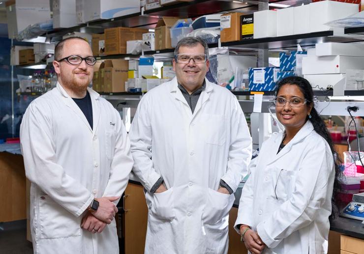 <p>Graduate student Daryll Vanover, professor Philip Santangelo and post-doctoral fellow Pooja Tiwari were co-authors on a study that used mRNA-expressed antibodies to prevent RSV infection in mice.</p>