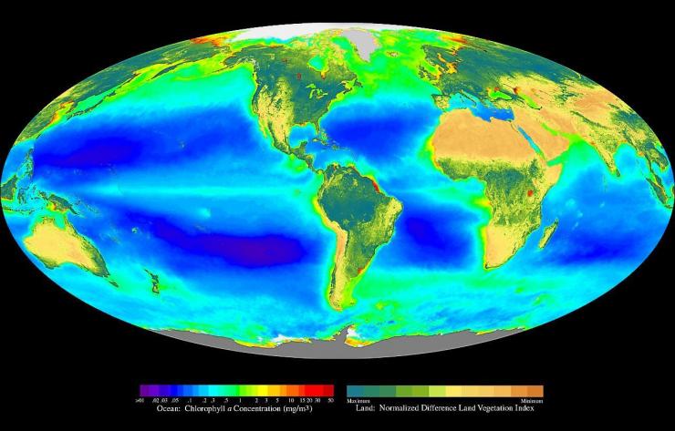 Global oxygen photosynthesis