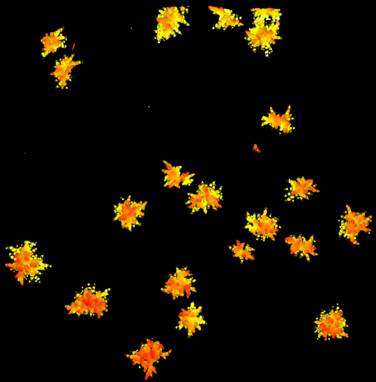 <p>Physicist Peter Yunker and evolutionary biologist Will Ratcliff view a simulation of stresses on yeast snowflakes that cause it to have a lifecycle. Credit: Georgia Tech / Rob Felt</p>