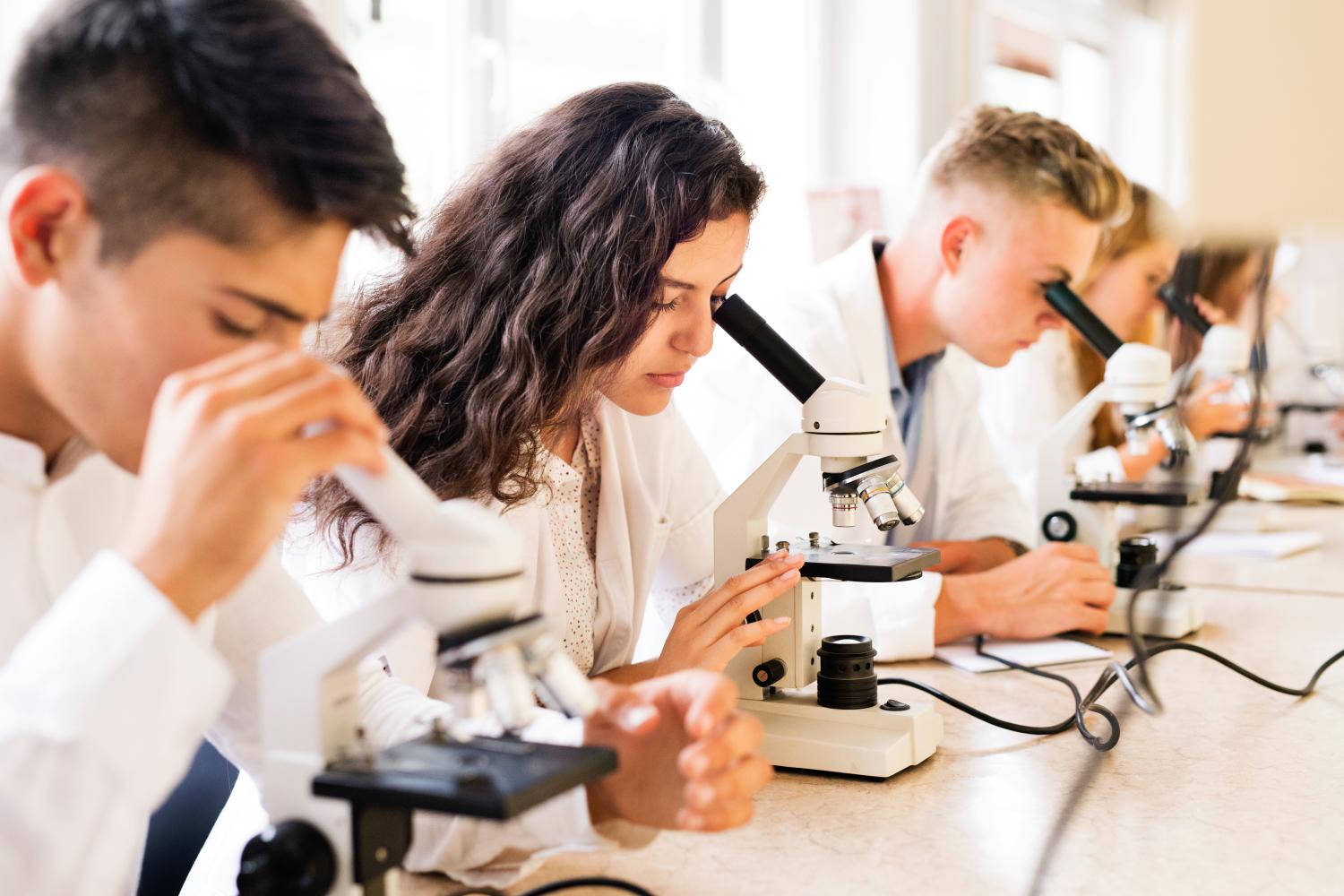 Students working at microscopes