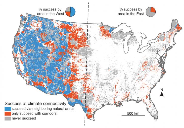 <p>Map shows the regions of the United States from which plants and animals will be able to escape predicted climate change. Blue areas are where they will be able to succeed given current conditions, orange areas are where they will be able to succeed only if they are able to cross over human disturbed areas, and gray areas are areas where they cannot succeed by following climate gradients. (Credit: Jenny McGuire, Georgia Tech)</p>