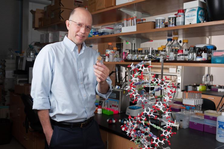 <p>Nicolas Hud, director of the NSF-NASA Center for Chemical Evolution at the Georgia Institute of Technology. Hud was a panelist at a press briefing “Asteroids for Research, Discovery, and Commerce” at the 2018 annual meeting of the American Association for the Advancement of Science (AAAS). (Credit: Fitrah Hamid, Georgia Tech)</p>