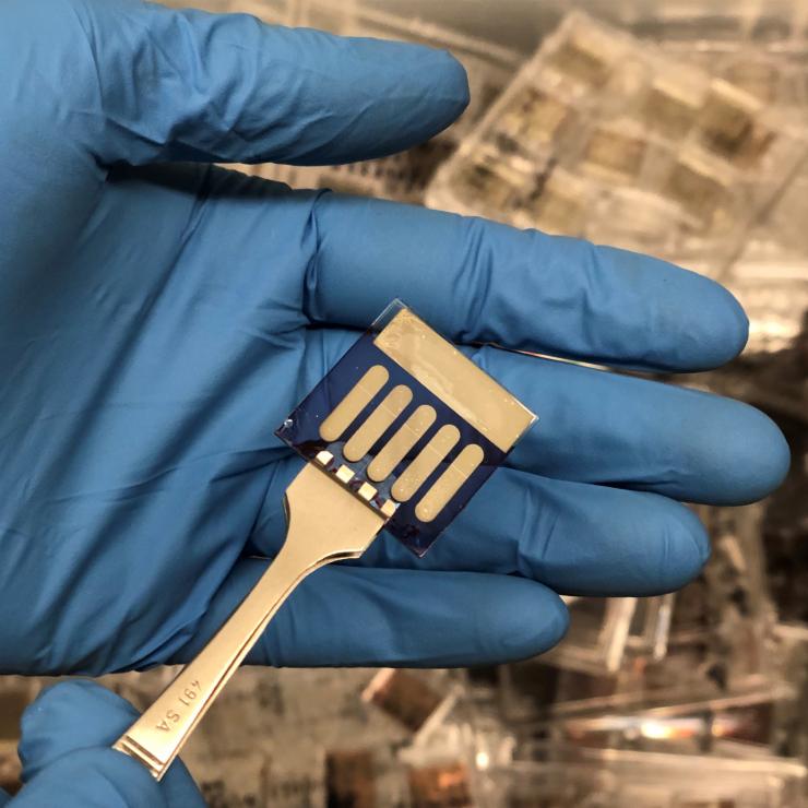 <p>This sample includes five small area organic photovoltaic devices that were fabricated in the Kippelen Research Group at Georgia Tech. Samples with similar geometry were sent to the ISS to investigate the effects of exposure to space environments. (Photo: Bernard Kippelen, Georgia Tech)</p>