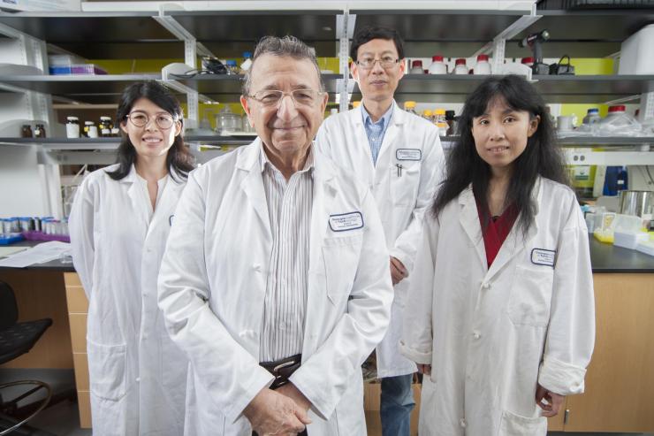 <p>Georgia Tech's Regents Professor Mostafa El-Sayed (front) is one of the most highly decorated and cited living chemists. With his team for this research from left to right: Yue Wu, Professor Ronghu Wu, and Yan Tang. Credit: Georgia Tech / Christopher Moore</p>