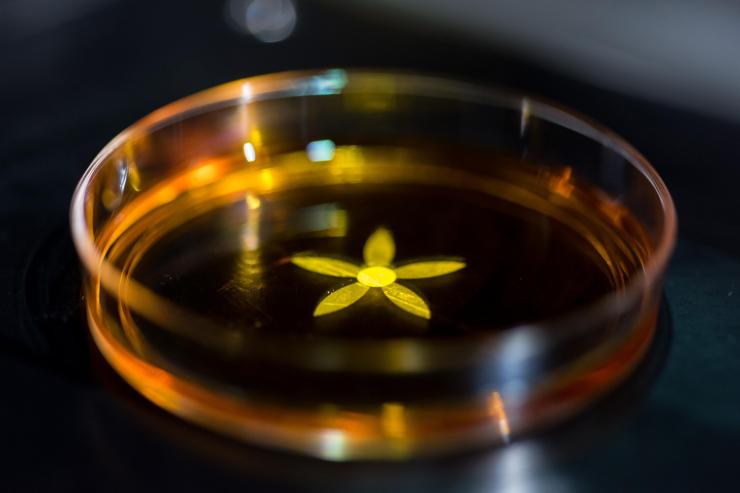 <p>A grayscale pattern used to create a self-folding flower is projected into a glass container. Light from the pattern forms a solid polymer which is differentially crosslinked, creating stress in the material. The structure folds when it is removed from the liquid. (Credit: Rob Felt, Georgia Tech)</p>