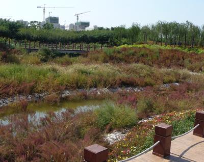 Tianjin Ecocity Wetland