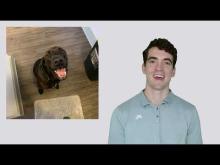 Embedded thumbnail for Neural Fetch