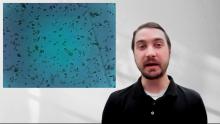Embedded thumbnail for PhycoSight
