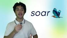 Embedded thumbnail for Soar