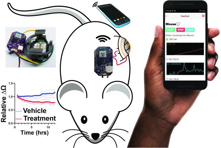 mouse and wearable