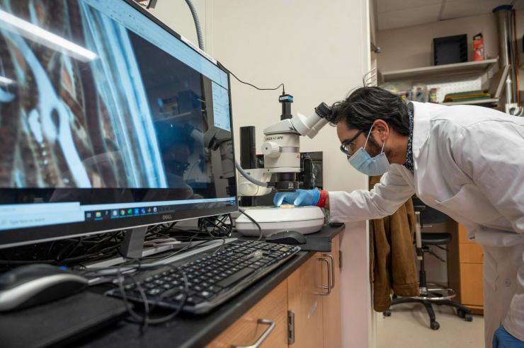 <p>Saad Bhamla repositions a slide for a microscope</p>