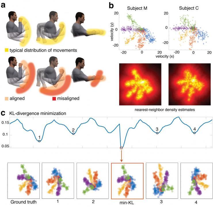 <p>This diagram shows how brain activity theoretically recorded from a human could be decoded so that neural activity that causes hand movement is aligned with the actual bodily movement. The study was conducted on animal models. Credit: Northwestern University / University of Pennsylvania / Georgia Tech</p>