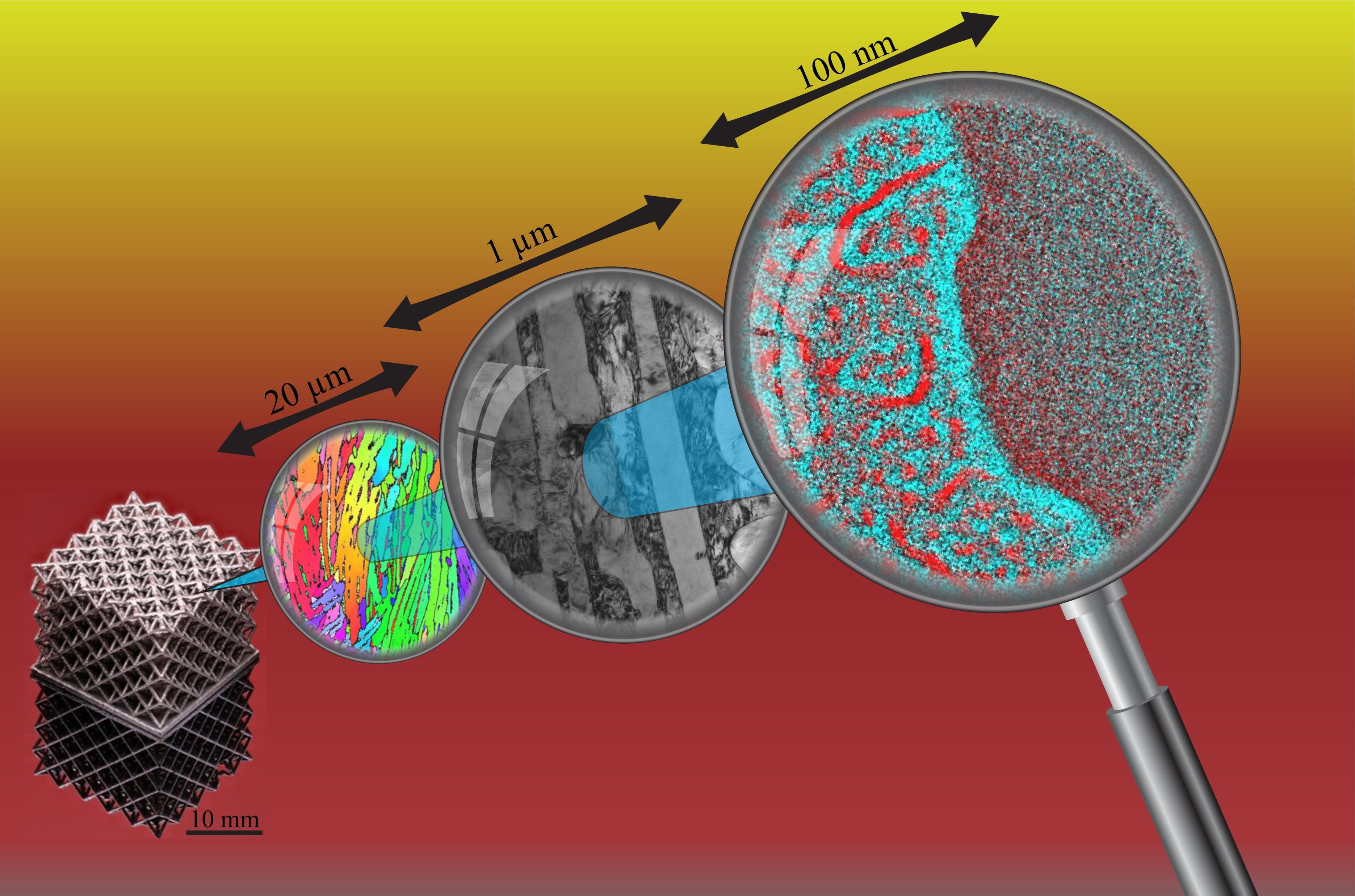 A strong and ductile high-entropy alloy is made from additive manufacturing, and it exhibits a hierarchical microstructure over a wide range of length scales. (Image credit: Thomas Voisin).