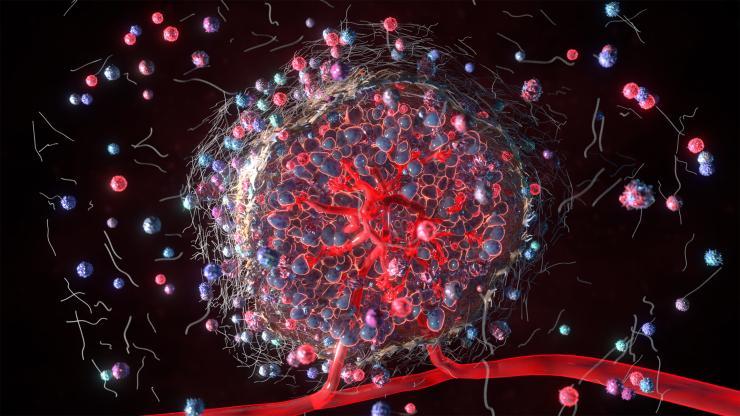 <p>Tumor microenvironment: Ankur Singh and Jean Koff want to understand what's happening at the biomolecular to create cancer disparities.  </p><p> </p>