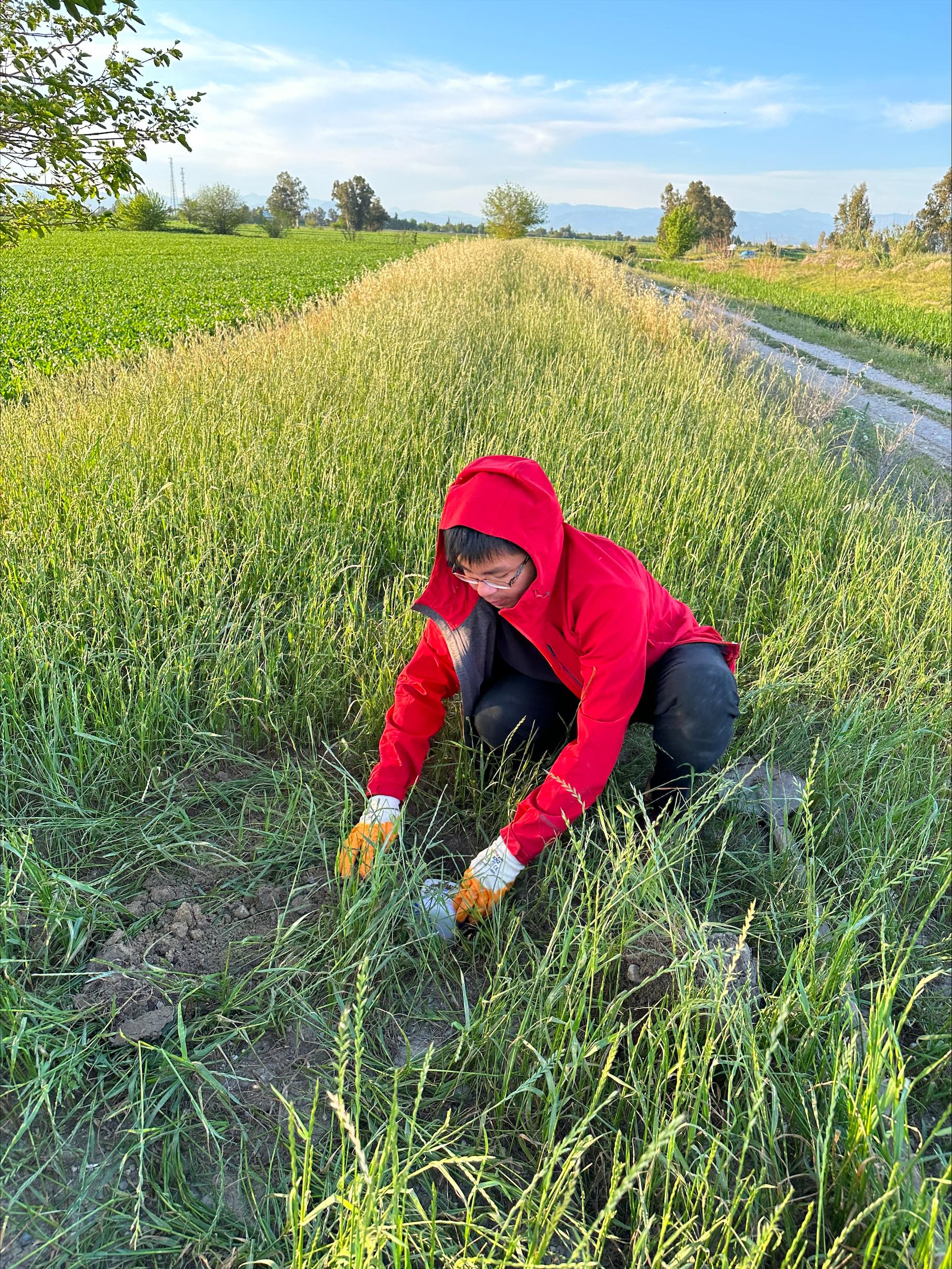 Grad student Phuc Mach places a node