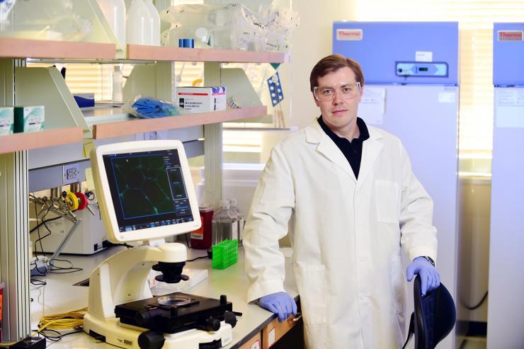 <p><strong>Denis Tsygankov</strong>, assistant professor in the Wallace H. Coulter Department of Biomedical Engineering at Georgia Tech and Emory University, has won a Faculty Early Career Development (CAREER) Award from the National Science Foundation.</p>