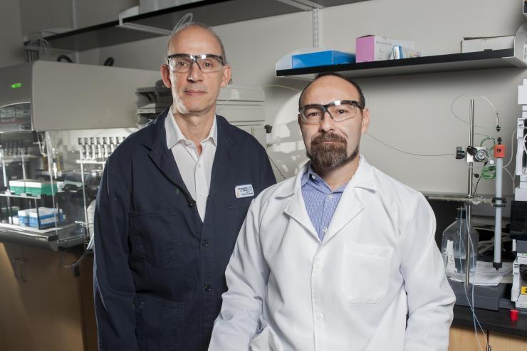 <p>Georgia Tech chemistry and life sciences researcher M. G. Finn (l.) and UFMG parasitology and immunology researcher Alexandre Marques (r.) in Finn's lab at Georgia Tech. Their team has developed an experimental vaccine against <em>Leishmania</em> parasites. Credit: Georgia Tech / Christopher Moore</p>