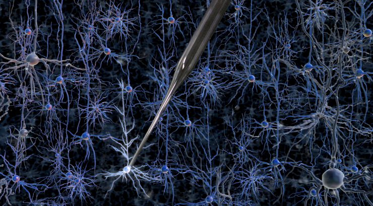 A robotically controlled glass electrode enables single-cell electrical recordings in living brain tissue. Credit: Georgia Tech