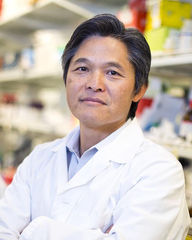 Hanjoong Jo, professor in the Wallace H. Coulter Department of Biomedical Engineering at Georgia Tech and Emory, and a professor of medicine at Emory, has just added a new title with his appointment as the Wallace H. Coulter Distinguished Faculty Chair.