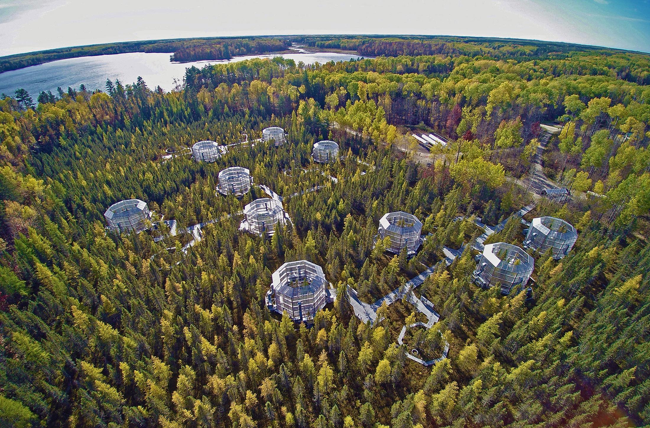 An aerial view of the SPRUCE enclosure.