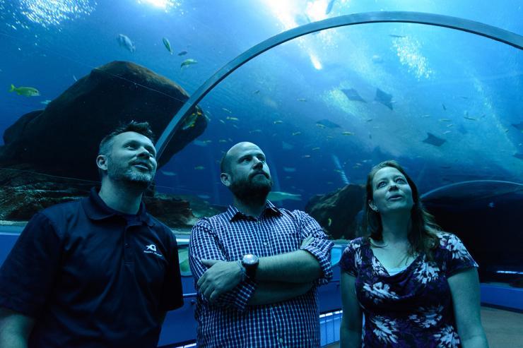 <p>Georgia Aquarium life support experts (like Matthew Regensburger, left) wanted to know which bacteria were removing nitrates from the water of Ocean Voyager, the largest indoor oceanic aquarium in the US. Georgia Tech marine biochemists (Andrew Burns, center, and Zoe Pratte, right) discovered very natural bacterial colonies at work.</p>