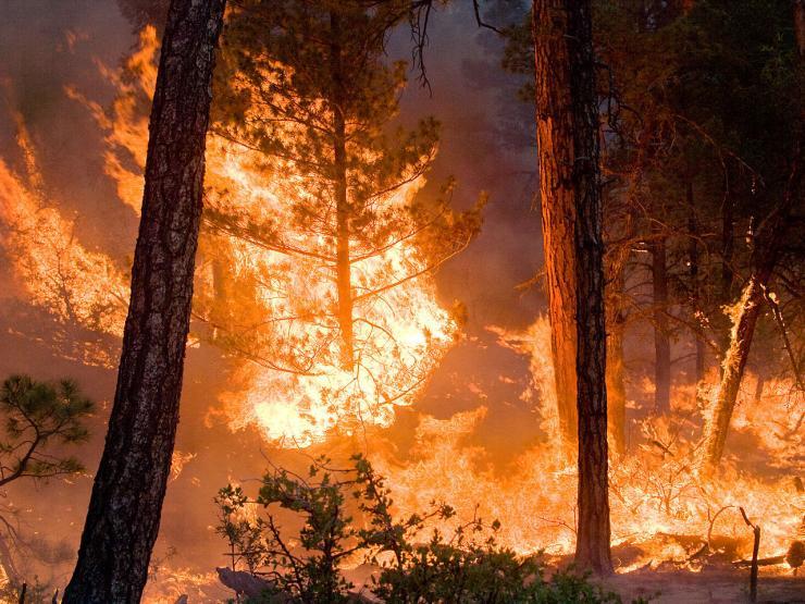 <p>Wildfires burn much more biomass per area than professional prescribed burns, and pollute at a much higher rate. Credit: Kari Greer/USFS Gila National Forest via NASA</p>