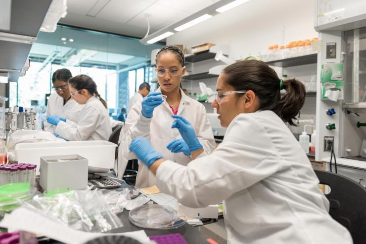 <p>Researchers work in the cell manufacturing laboratory of Krishnendu Roy at Georgia Tech. Shown (l-r) are NSF Graduate Research Fellow Joscelyn Mejias, Research Experience for Undergraduates (REU) Program student Angela Jimenez, (background) Postdoctoral Fellow Randall Toy, Georgia Tech Research Institute TAG-Ed High School Intern Gita Balakirsky, and Project ENGAGES High School Intern Ayanna Prather. (Credit: Rob Felt, Georgia Tech)</p>