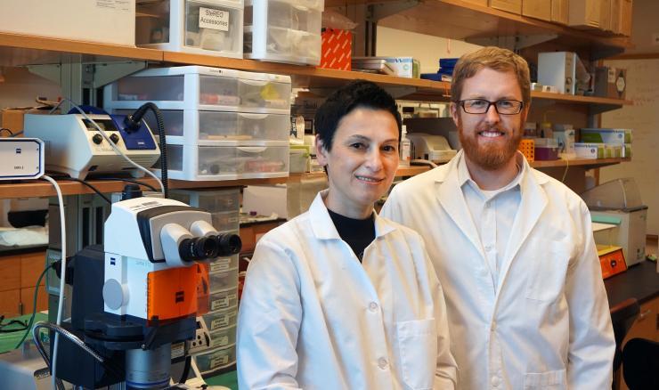 <p>Brandon Dixon, researcher in the School of Mechanical Engineering, with Dr. Zhanna Nepiyushchikh in the lab. </p>