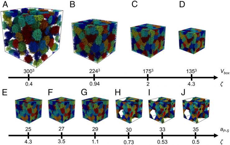 <p>Snapshots illustrating changes in microgel suspension for different packing conditions for the (A–D) volumetric and (E–J) solvency packing methods. (Credit: Georgia Tech)</p>