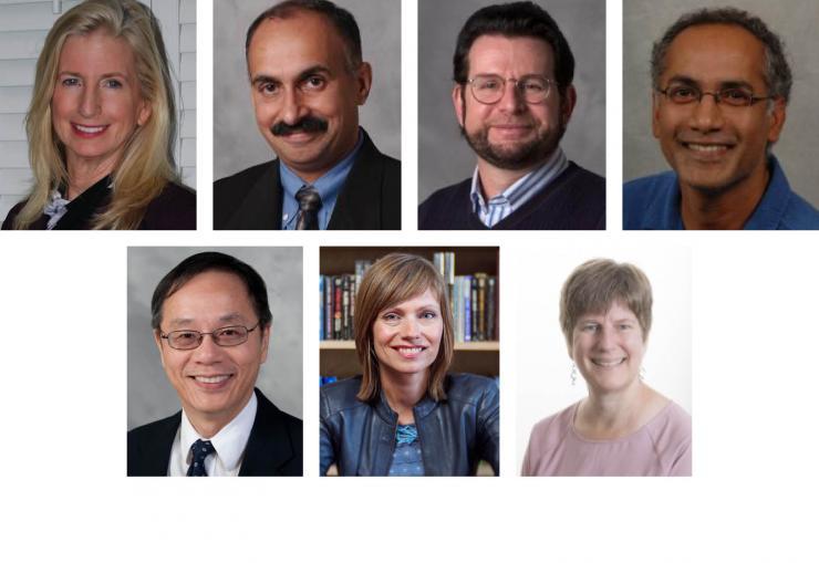 <p>Marilyn Brown, Suresh Sitaraman, Jeffrey Skolnick, Prasad Tetali, Vigor Yang, Lisa Yaszek, and Ellen Zegura</p>