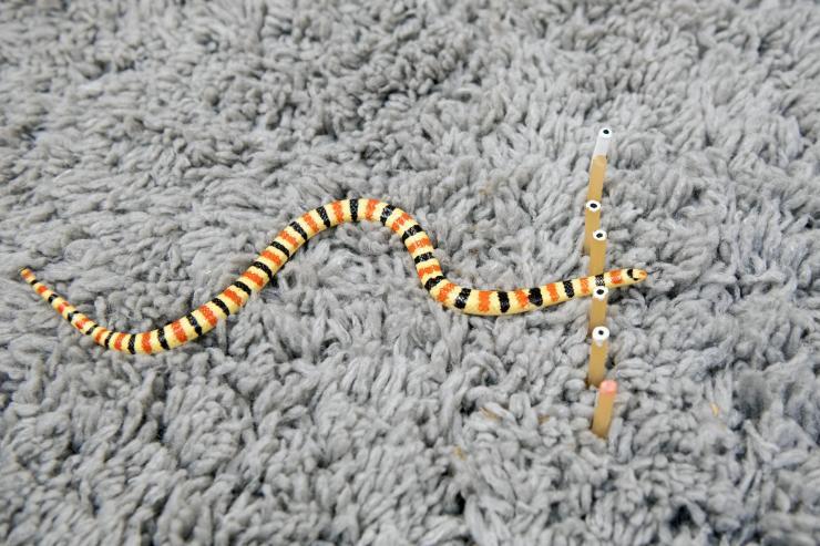 <p>A Western Shovel-nosed snake moves through a force-sensitive set of rubber pegs. The pegs altered the direction of the snakes’ travel, but didn’t vary the waveform they used to move. (Photo: Allison Carter, Georgia Tech)</p>