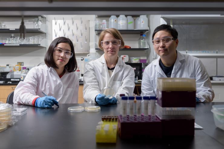 <p>Postdoctoral Fellow Yeongseon Jang, Associate Professor Julie Champion and Postdoctoral Fellow Won Tae Choi are shown in Champion’s laboratory at Georgia Tech. With Professor Dennis Hess (not shown), the researchers developed a new nanotextured surface for stainless steel that kills common bacteria. (Credit: Rob Felt, Georgia Tech)</p>